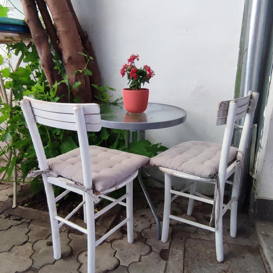 Centar Novi Sad-Apartman No 3 ภายนอก รูปภาพ