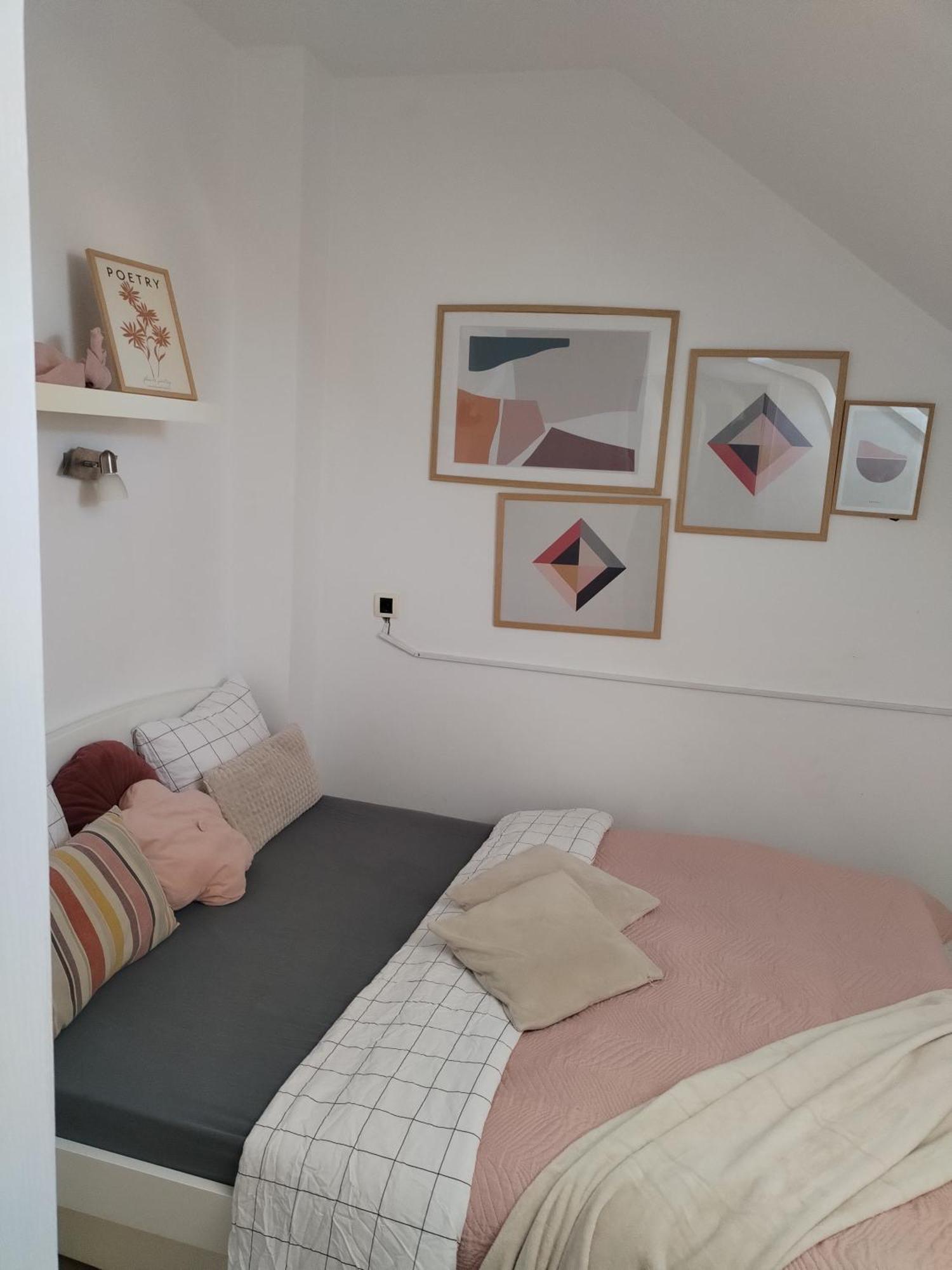 Centar Novi Sad-Apartman No 3 ภายนอก รูปภาพ